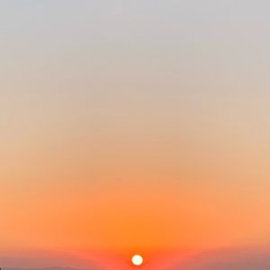 Meet your Posher, Kylie